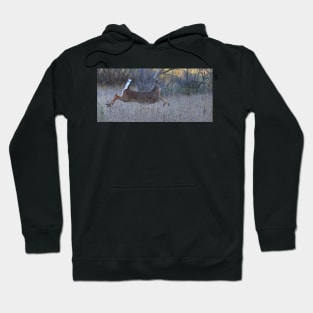 On Prancer! - White-tailed Buck Hoodie